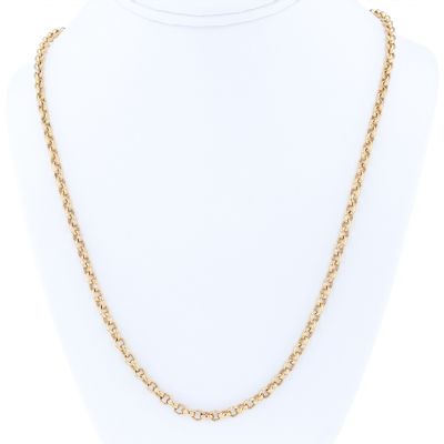Nikki Lissoni Gold Plated 24" 4.0mm Rolo Necklet