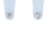 14K White Gold Round Brilliant Diamond Three Prong Martini Stud Earrings