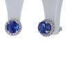 14K White Gold Tanzanite & Diamond Halo Stud Earrings